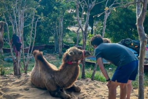 From Ho Chi Minh: Day Trip to Mui Ne Sand Dunes at Sunset