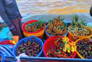 From Ho Chi Minh: Mekong and Cai Rang Floating Market 1 Day