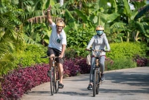 From Ho Chi Minh: Mekong &Cai Rang Floating Market 1 day