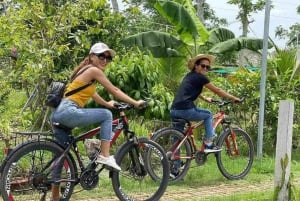 From Ho Chi Minh: Mekong &Cai Rang Floating Market 1 day