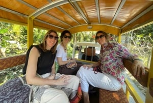From Ho Chi Minh: Mekong &Cai Rang Floating Market 1 day