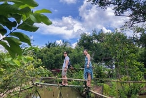 From Ho Chi Minh: Mekong &Cai Rang Floating Market 1 day