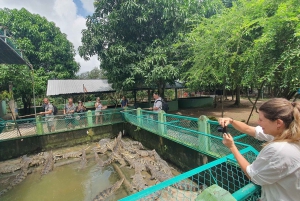 Von Ho Chi Minh aus: Mekong Delta, My Tho & Ben Tre Tagestour