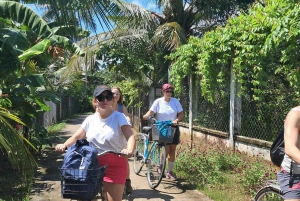 Von Ho Chi Minh aus: Mekong Delta, My Tho & Ben Tre Tagestour
