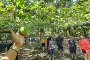Von Ho Chi Minh aus: Mekong Delta, My Tho & Ben Tre Tagestour