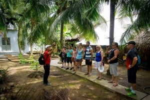 From Ho Chi Minh: Mekong Delta Small Group Day Trip