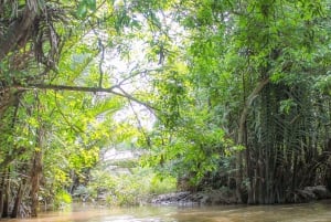 From Ho Chi Minh: Mekong Delta Small Group Day Trip