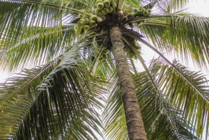 From Ho Chi Minh: Mekong Delta Small Group Day Trip