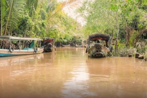 From Ho Chi Minh: Mekong Delta Small Group Day Trip