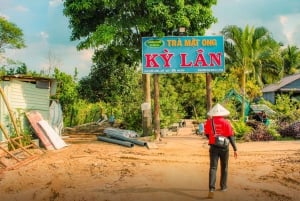 From Ho Chi Minh: Mekong Delta Small Group Day Trip