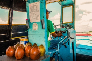 From Ho Chi Minh: Mekong Delta Small Group Day Trip