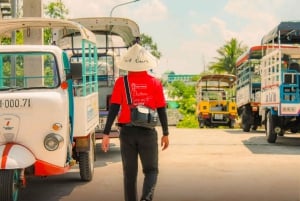 From Ho Chi Minh: Mekong Delta Small Group Day Trip