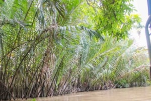 From Ho Chi Minh: Mekong Delta Small Group Day Trip