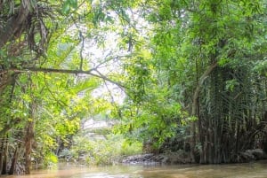 From Ho Chi Minh: Mekong Delta Small Group Day Trip