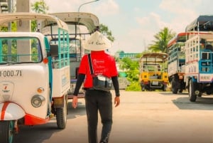 From Ho Chi Minh: Mekong Delta Small Group Day Trip