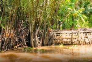From Ho Chi Minh: Mekong Delta Small Group Day Trip