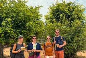 From Ho Chi Minh: Mekong Delta Small Group Day Trip