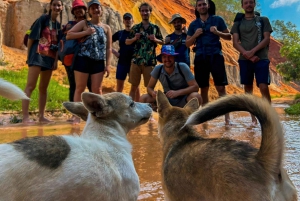 Ho Chi Minh: Tagestour nach Mui Ne mit ATV Quad und privatem Jeep