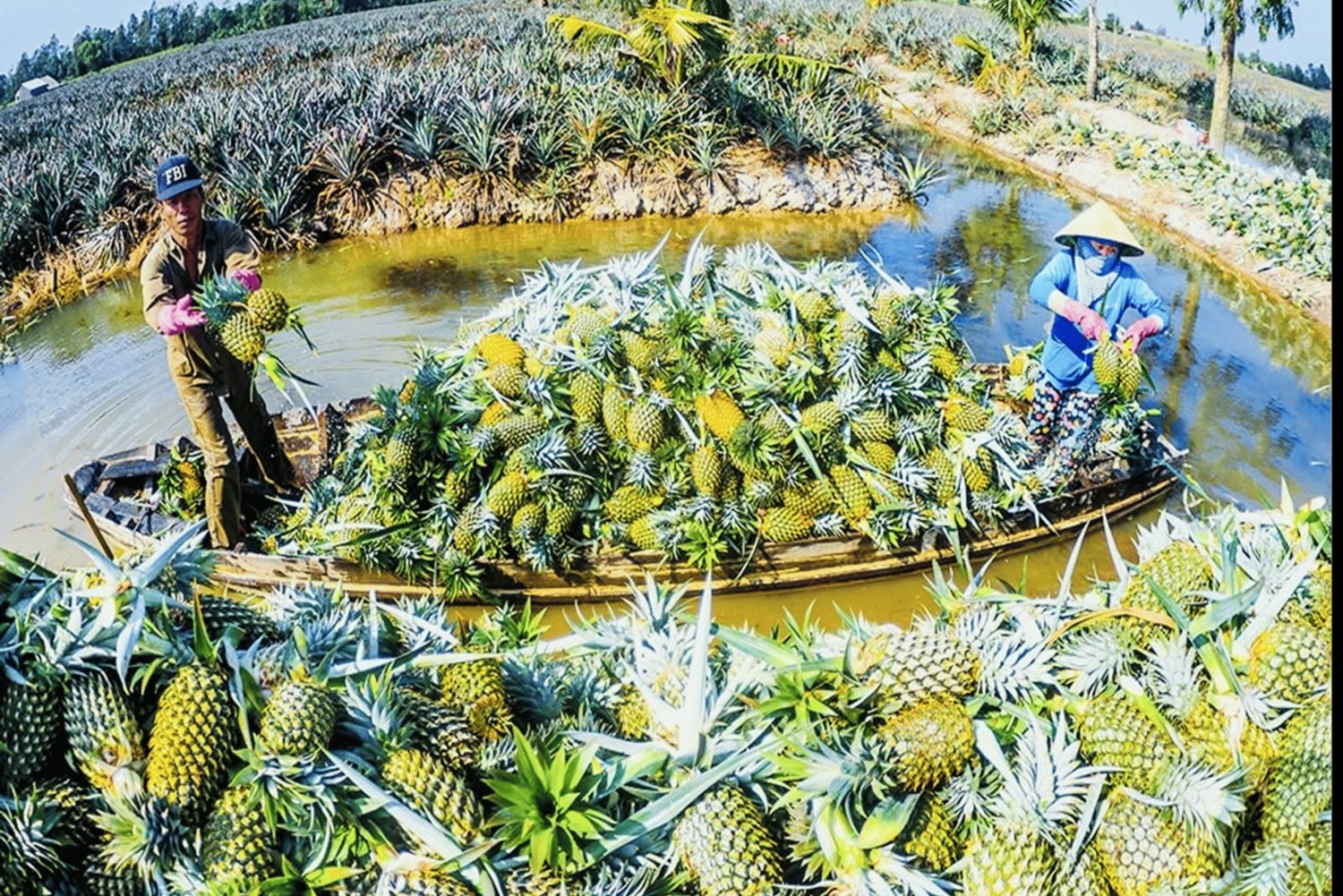 Fra Ho Chi Minh til Phu Quoc-øya: 4D3N Can Tho-turer