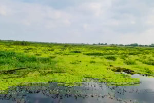ホーチミン発フーコック島行き：4日間3泊のキャンザツアー