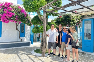 From Hoi An: Cooking Class at Organic Farm