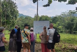 Fra Hoi An/Da Nang: Transfer med shuttlebus til My Son