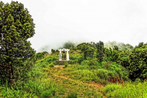 From Hoi An: Full-Day Trip with National Park Hike and Beach