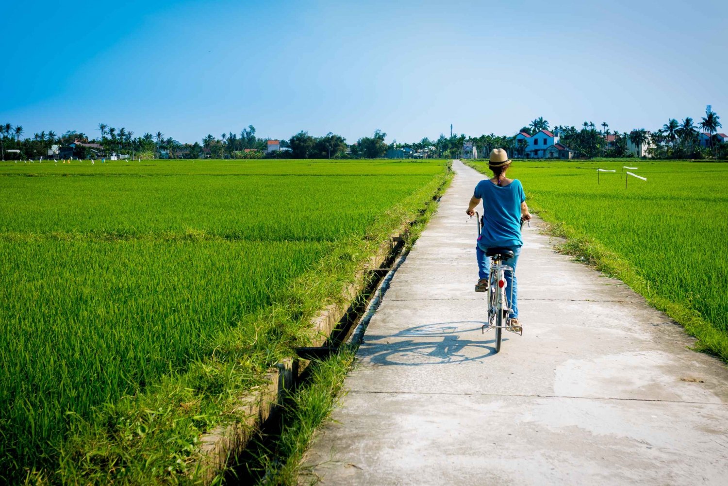 From Hoi An: Interactive Rice Farming Tour