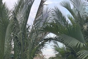 Desde Hoi An: tour por el mercado, paseo en barca y clase de cocina