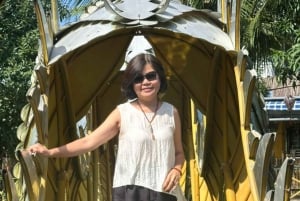 Desde Hoi An: tour por el mercado, paseo en barca y clase de cocina