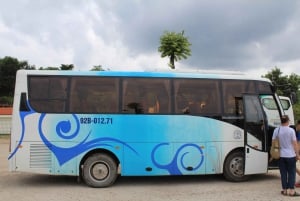 From Hoi An: My Son Tour by Bus and Boat