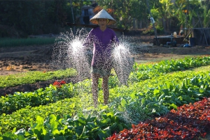 From Hoi An: Tra Que Village Tour & Cooking Experience