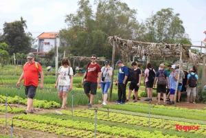 From Hoi An: Tra Que Village Tour & Cooking Experience