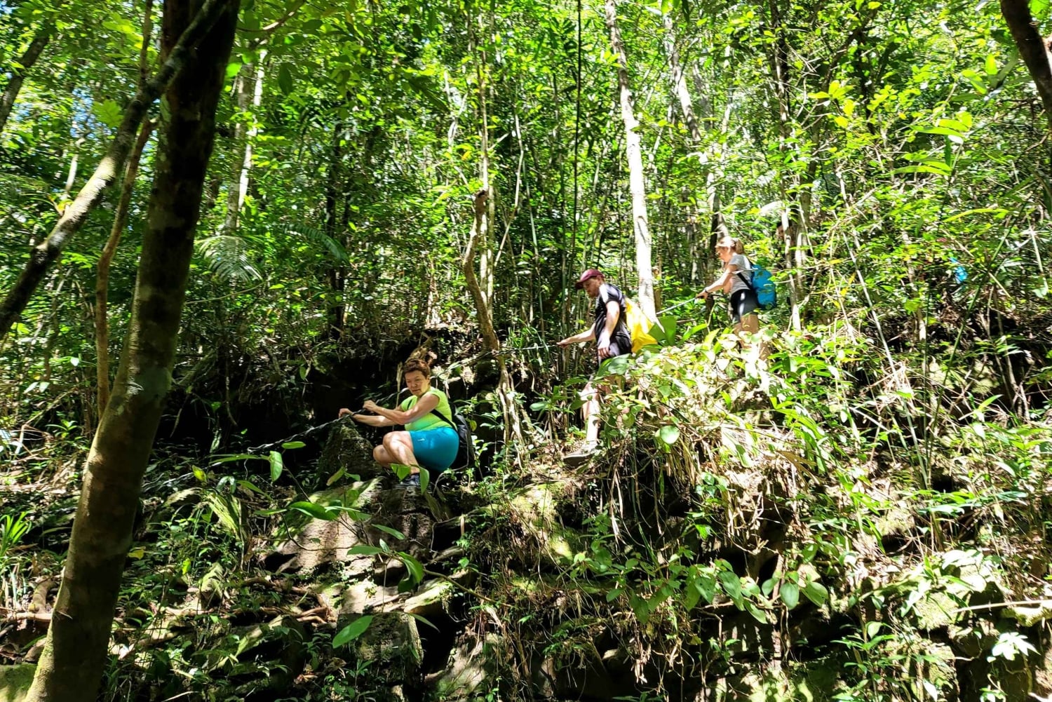 Desde Hue: excursión de 1 día al parque nacional de Bach Ma con recogida