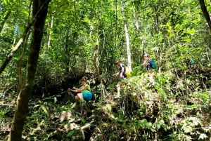 De Hue: excursão de um dia para caminhadas no Parque Nacional Bach Ma com embarque
