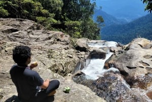 Depuis Hue : Excursion d'une journée dans le parc national de Bach Ma avec prise en charge