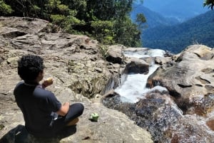 Desde Hue: excursión de 1 día al parque nacional de Bach Ma con recogida