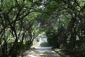 From Hue : Full-Day City Tour with Boat Trip and Lunch