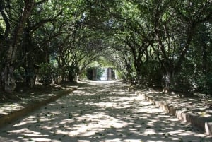 From Hue : Full-Day City Tour with Boat Trip and Lunch