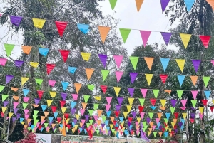 From Hue: Paradise Cave and Dark Cave Day Tour