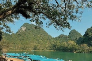From Hue: Phong Nha Cave & Paradise Cave Full-Day Trip