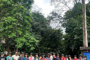 From Hue: Phong Nha Cave & Paradise Cave Full-Day Trip