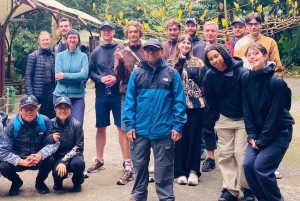 From Hue: Phong Nha Cave & Paradise Cave Full-Day Trip