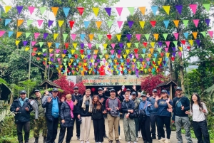 Da Hue: Escursione di una giornata intera alla Grotta di Phong Nha e alla Grotta del Paradiso