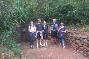 Von Hue aus: Private Halbtagestour durch die DMZ mit Vinh Moc Tunneln