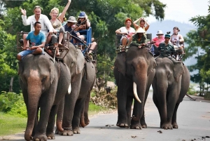 Från Nha Trang: Dagstur till Dalat