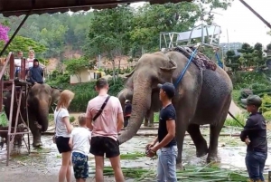 Från Nha Trang: Dagstur till Dalat