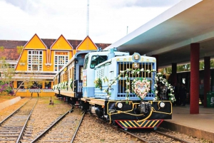 Från Nha Trang: Dagstur till Dalat