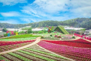 Från Nha Trang: Dagstur till Dalat