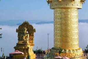 Von Nha Trang aus: Besuche die Samten Hills in Da Lat an einem Tag